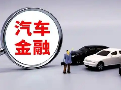 纳雍押车贷款不是本人可以么?